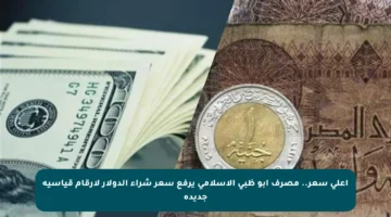 أعلى سعر.. مصرف أبو ظبي الإسلامي يرفع سعر شراء الدولار لأرقام قياسية جديدة